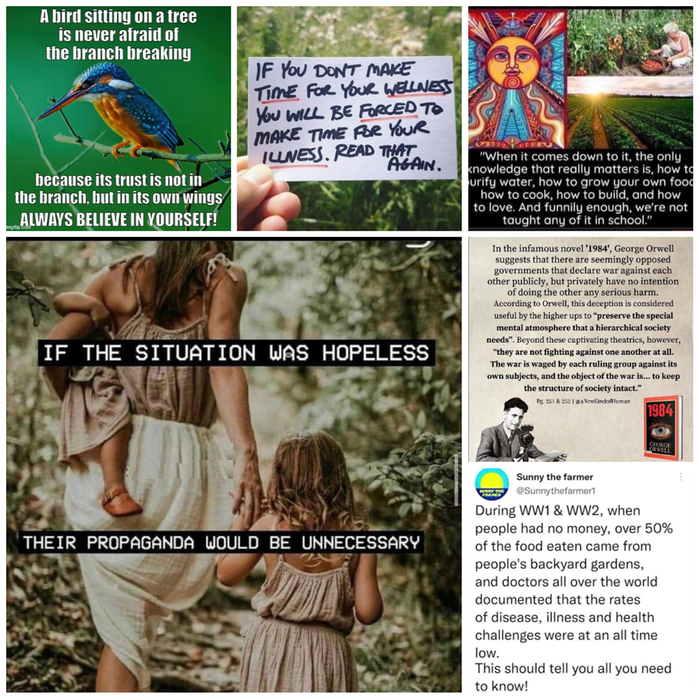 [Thumbnail for meme-collage-2.jpg]