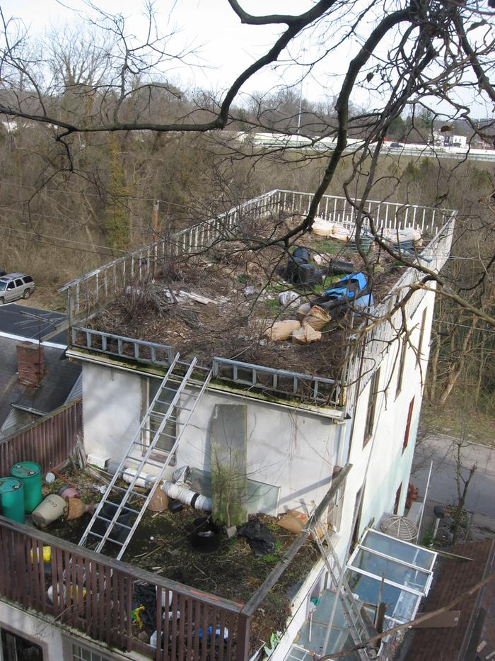 Rooftop garden