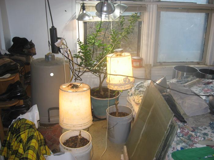 [Thumbnail for IMG_3110.JPG]