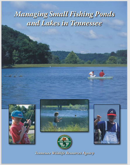 [Thumbnail for Ponds-Tennessee-Copy.PNG]
