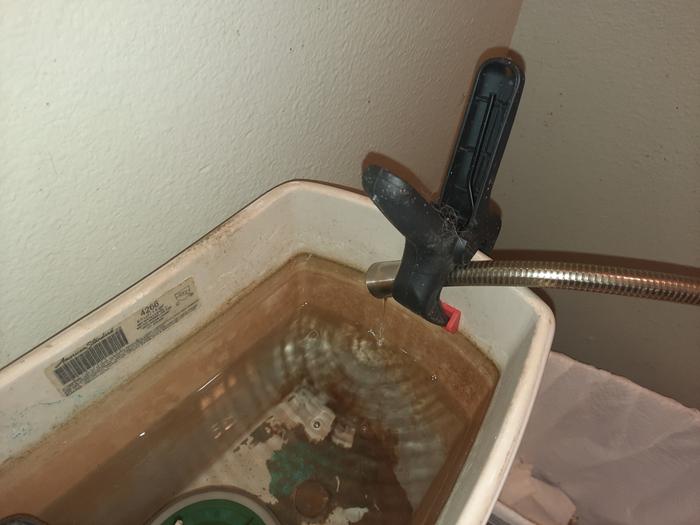 Cold shower water dripping. To somewhere it can do some good!