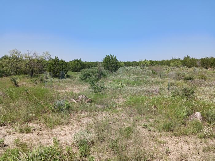 Just a bunch of barren spots that grow nothing and are being baked in the sun all day