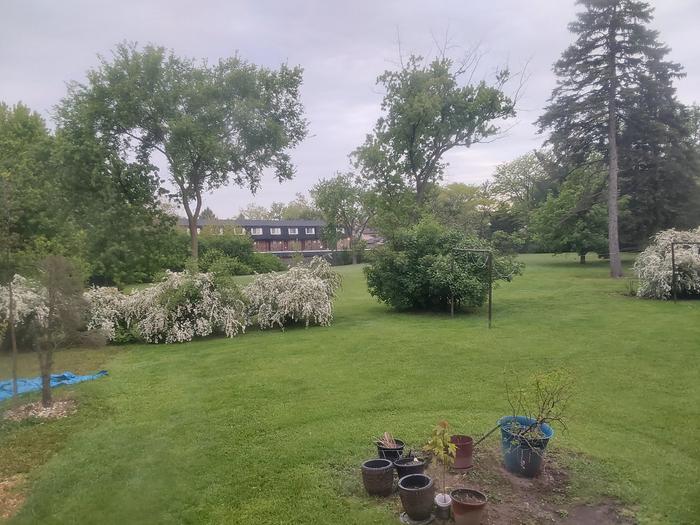 Grey skies at dawn, with more rain to follow. 