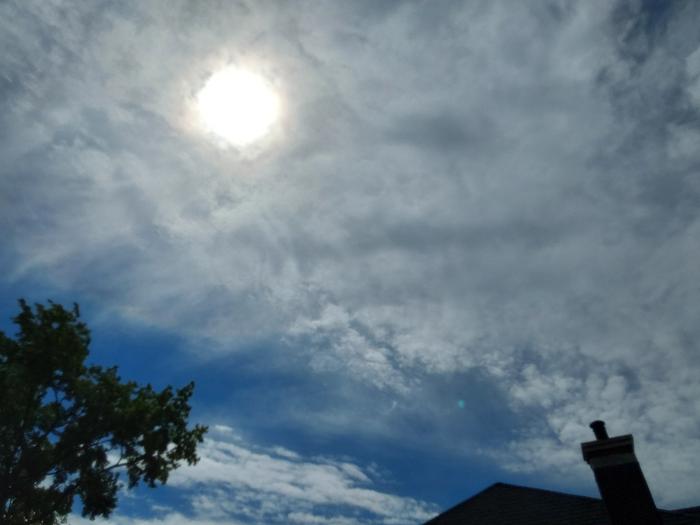 Sometimes it's not full sun