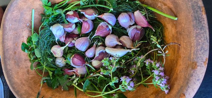 Bed of herbs in a romertopf