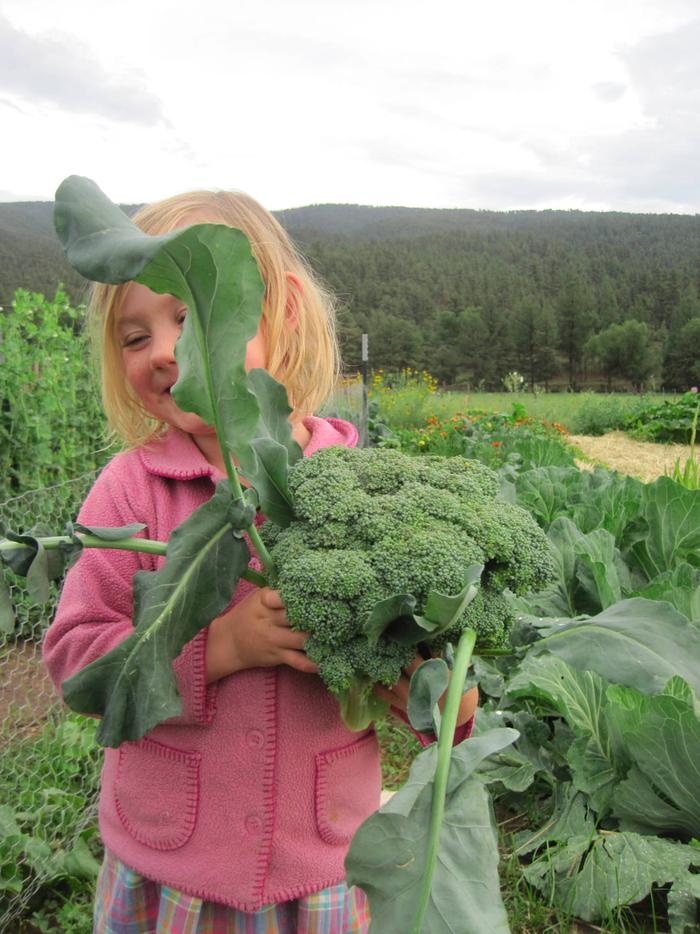 [Thumbnail for broccoli-fairy.jpg]