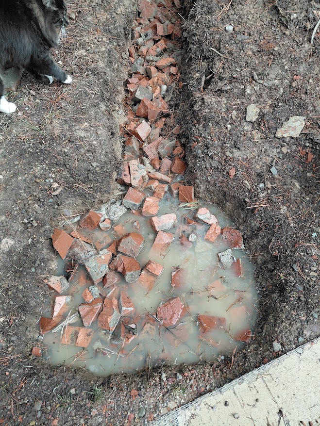 [Thumbnail for 20251216_111910.jpg]