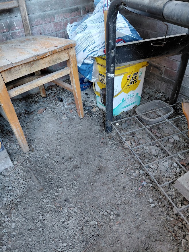 [Thumbnail for 20251228_104659.jpg]