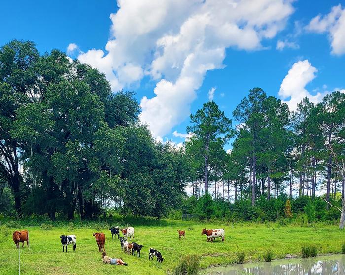 [Thumbnail for hog-waller.jpg]