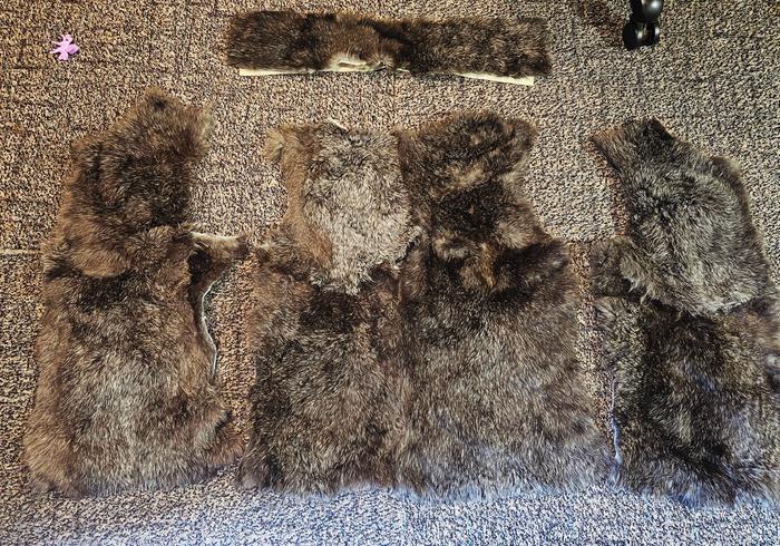 [Thumbnail for 20260313_145713.jpg]