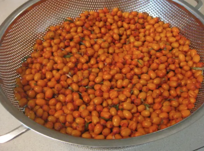 &amp;#91;Sea-buckthorn-berries.png&amp;#93;