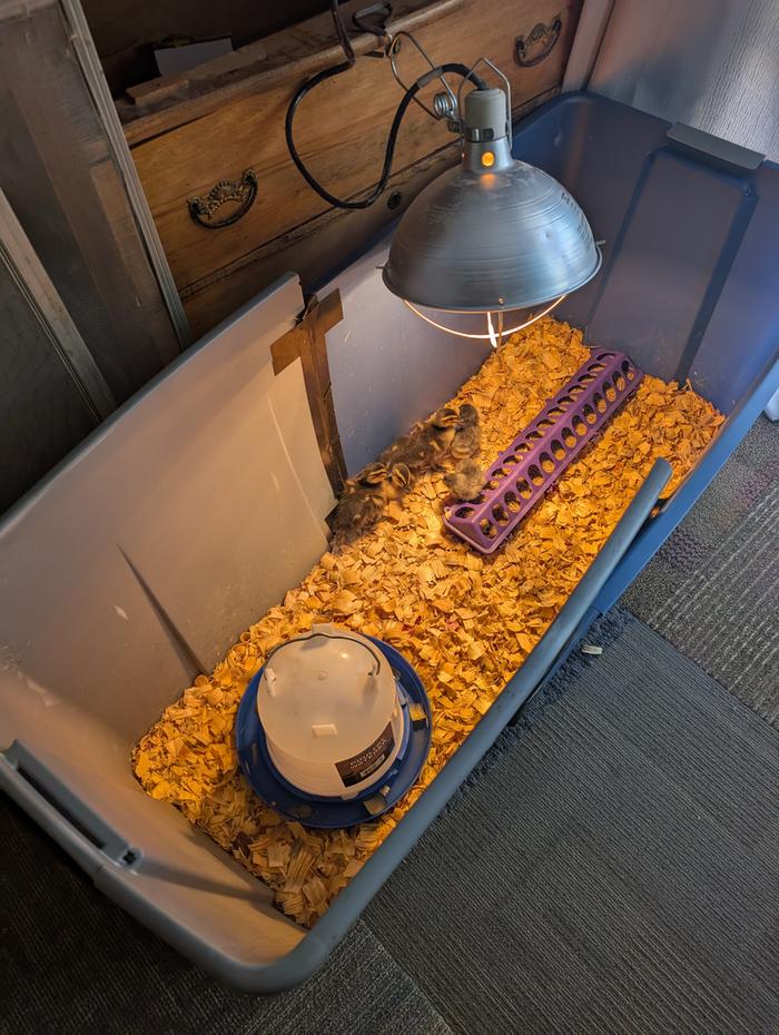 [Thumbnail for PXL_20250312_235749292.MP.jpg]