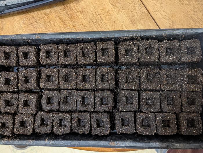 [Thumbnail for PXL_20260208_055059373.jpg]