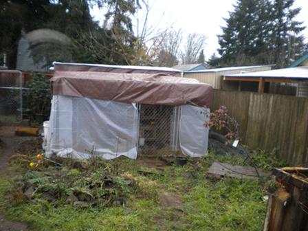 [Thumbnail for quail-enclosure.jpg]
