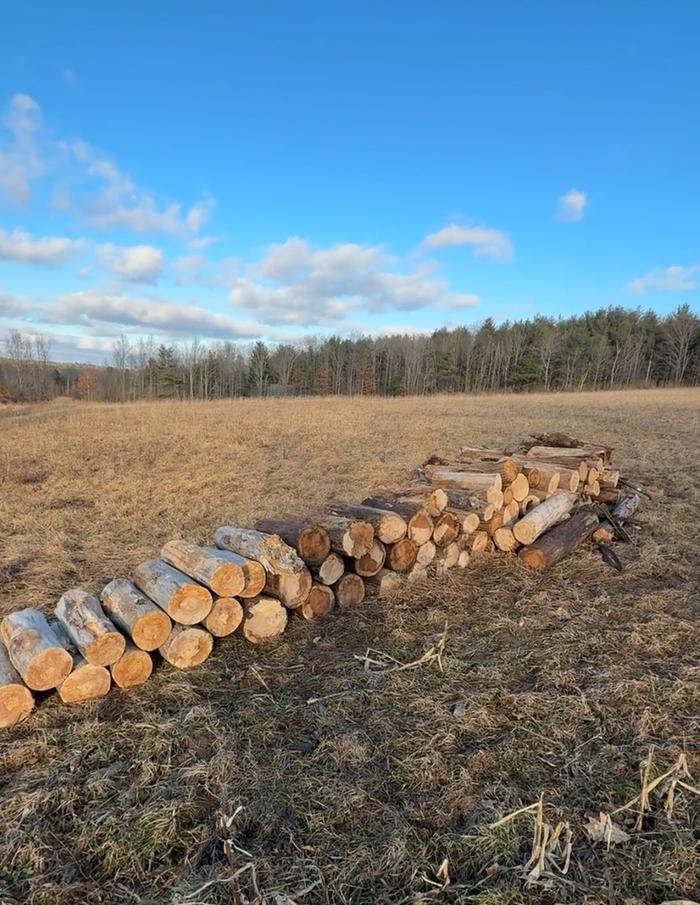 My log pile before starting the hugel