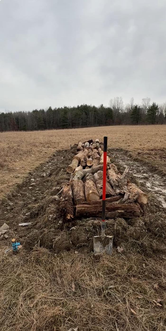 Second layer of logs 
