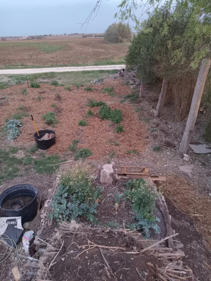 [Thumbnail for 20250323_193723.jpg]