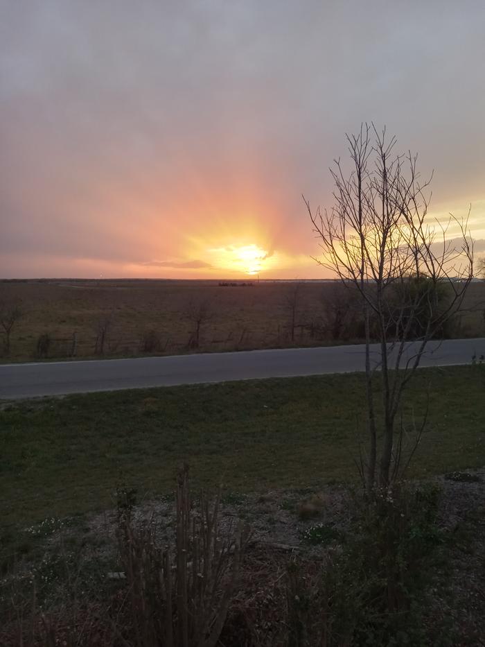 [Thumbnail for 20250323_193731.jpg]