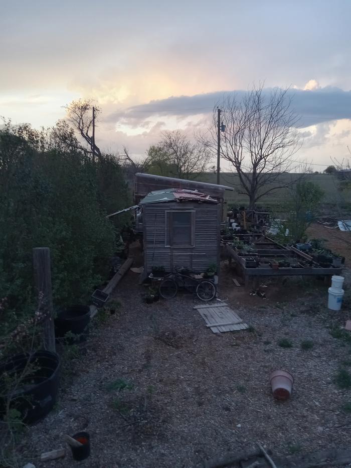 [Thumbnail for 20250323_193752.jpg]