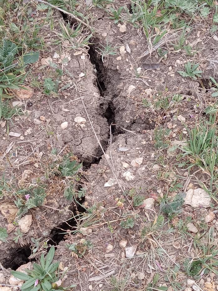 [Thumbnail for 20250323_175600.jpg]