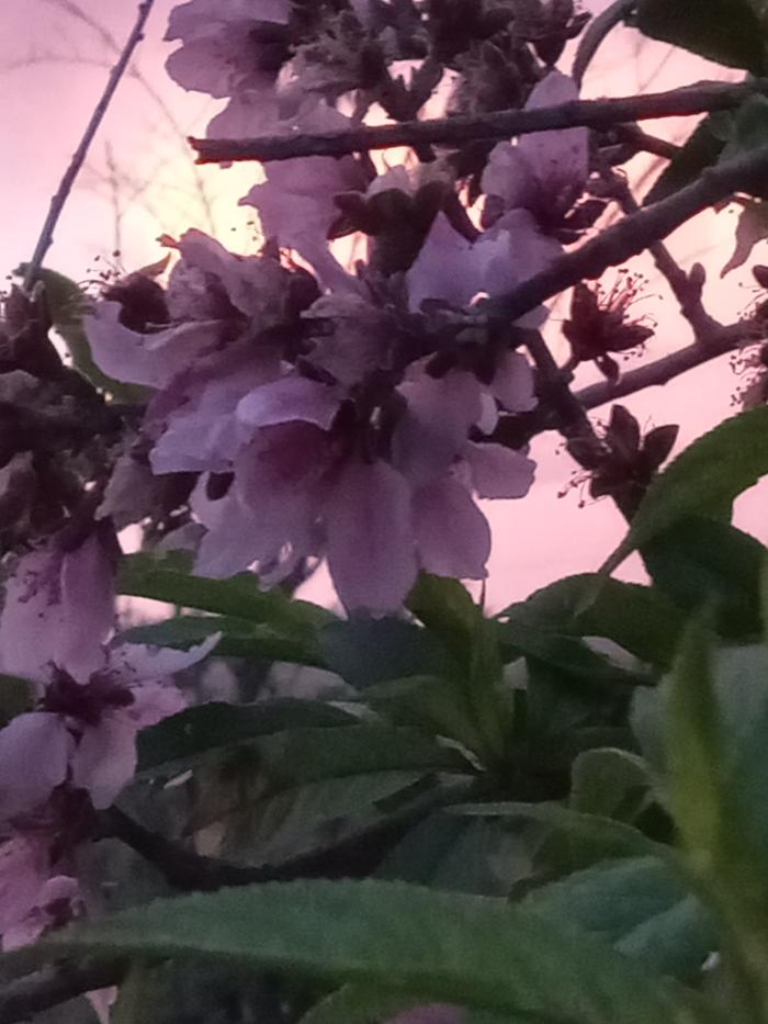 [Thumbnail for 20250323_194632.jpg]