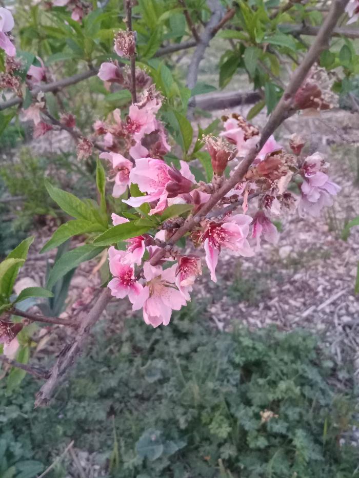 [Thumbnail for 20250323_194726.jpg]