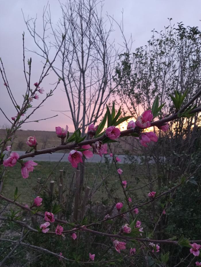 [Thumbnail for 20250323_193849.jpg]