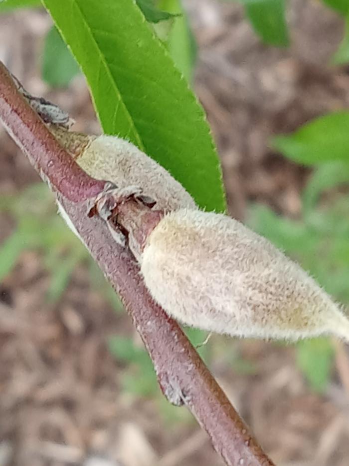 [Thumbnail for 20250323_182619.jpg]