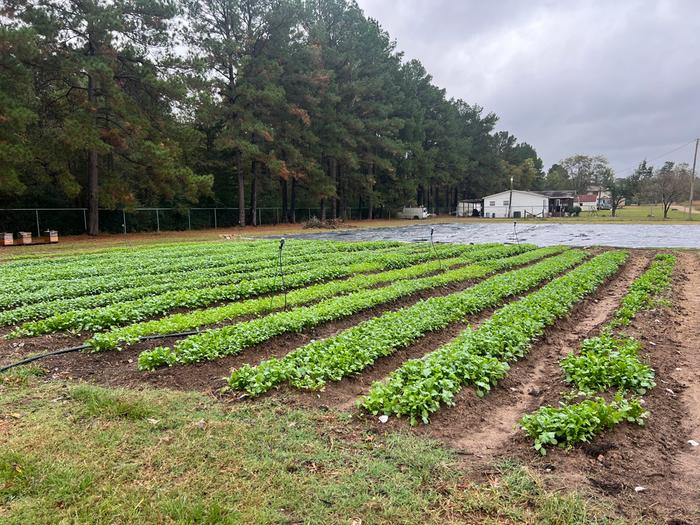 [Thumbnail for IMG_8238.jpeg]