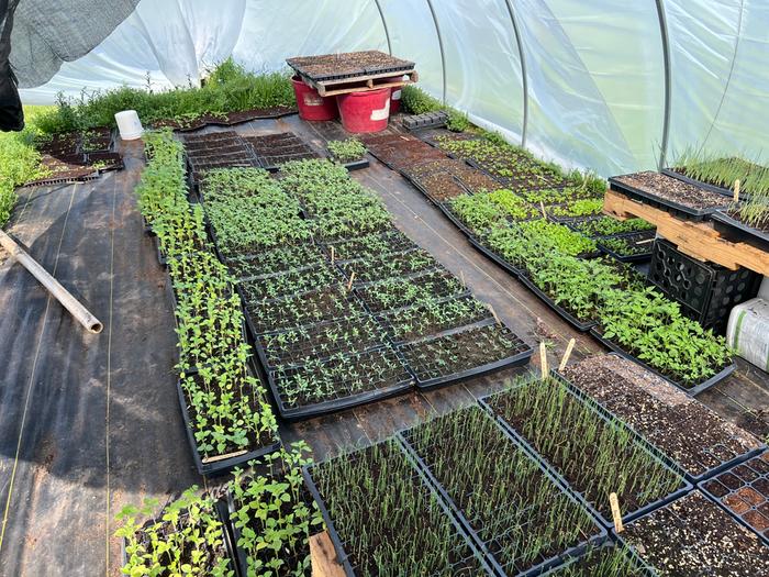 [Thumbnail for IMG_8819.jpeg]