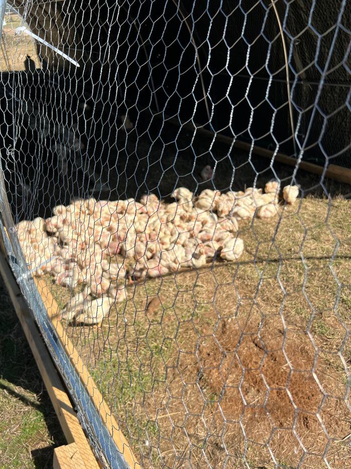 [Thumbnail for IMG_8698.jpeg]