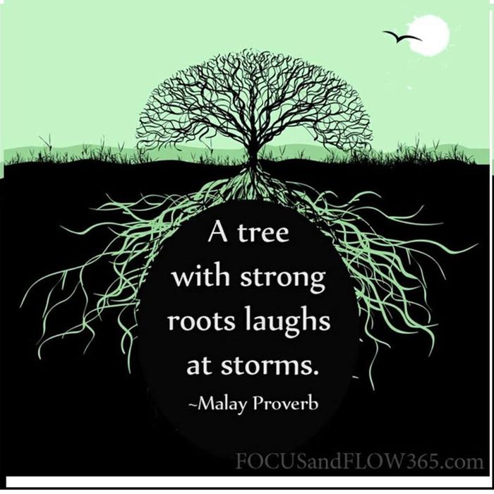 [Thumbnail for tree.jpg]