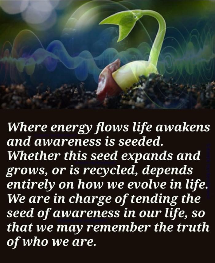 [Thumbnail for Truth-seed.jpg]