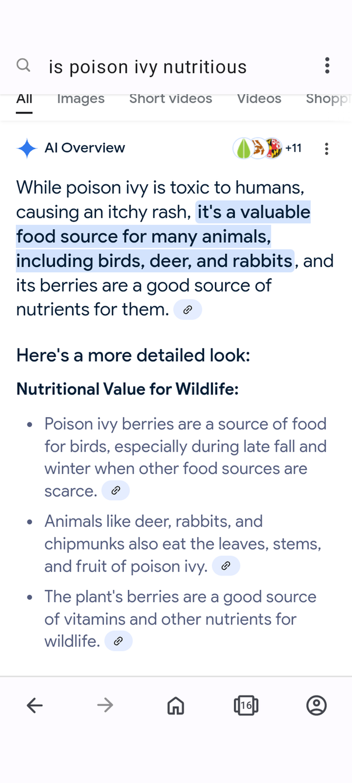 Poison ivy nutrition 