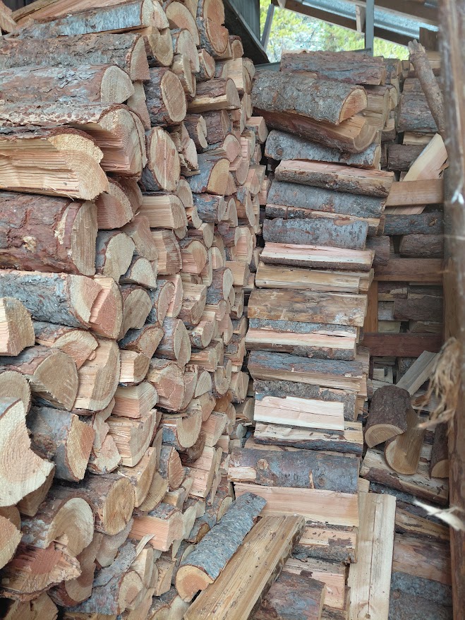 [Thumbnail for 20251128_130727.jpg]