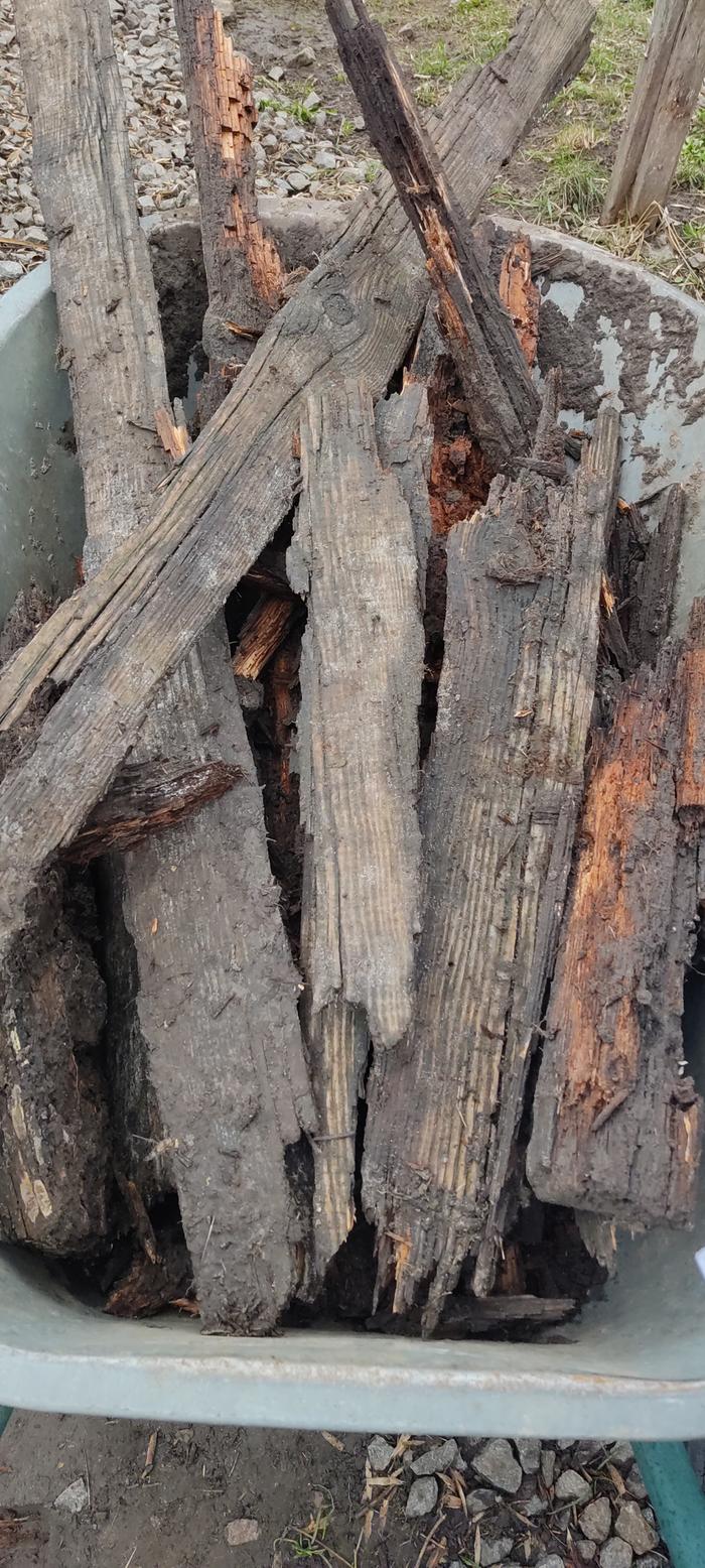 bits of rotten wood in wheelbarrow