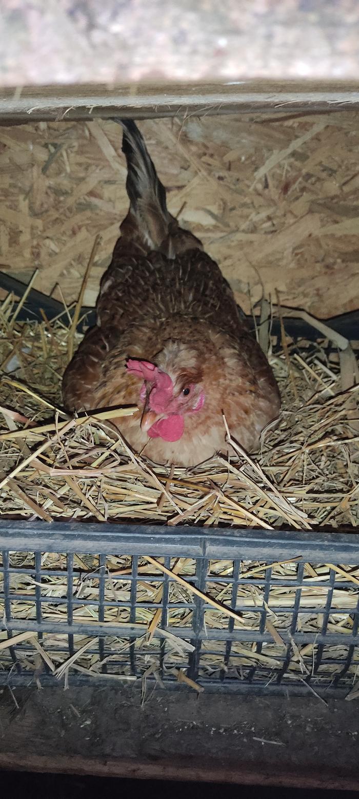 [Thumbnail for IMG_20251027_091156.jpg]