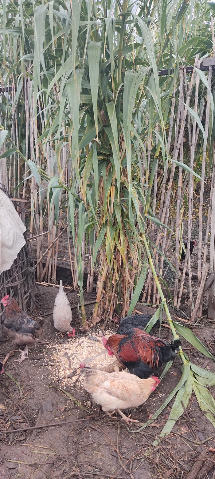 [Thumbnail for IMG_20251027_091257.jpg]