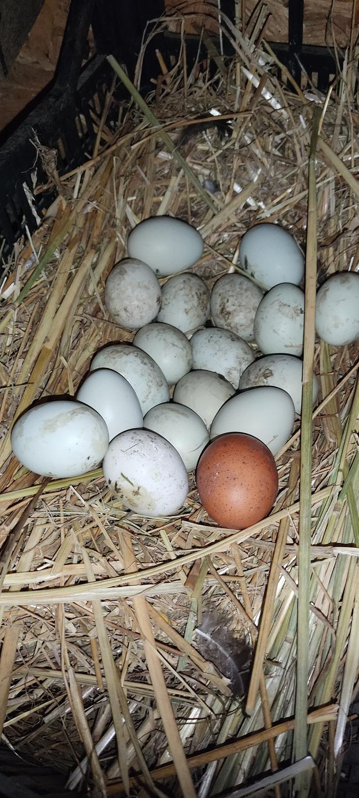 [Thumbnail for IMG_20251010_100545.jpg]