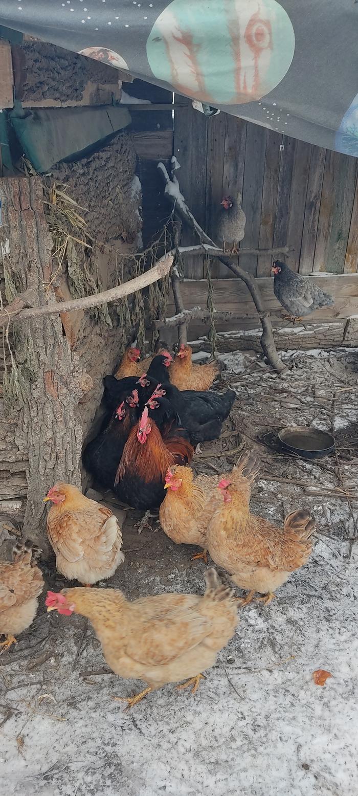 [Thumbnail for IMG_20260110_145610.jpg]