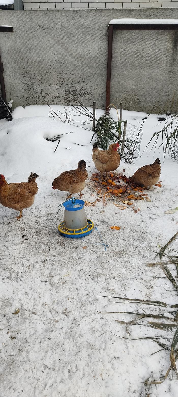 [Thumbnail for IMG_20260110_145604.jpg]