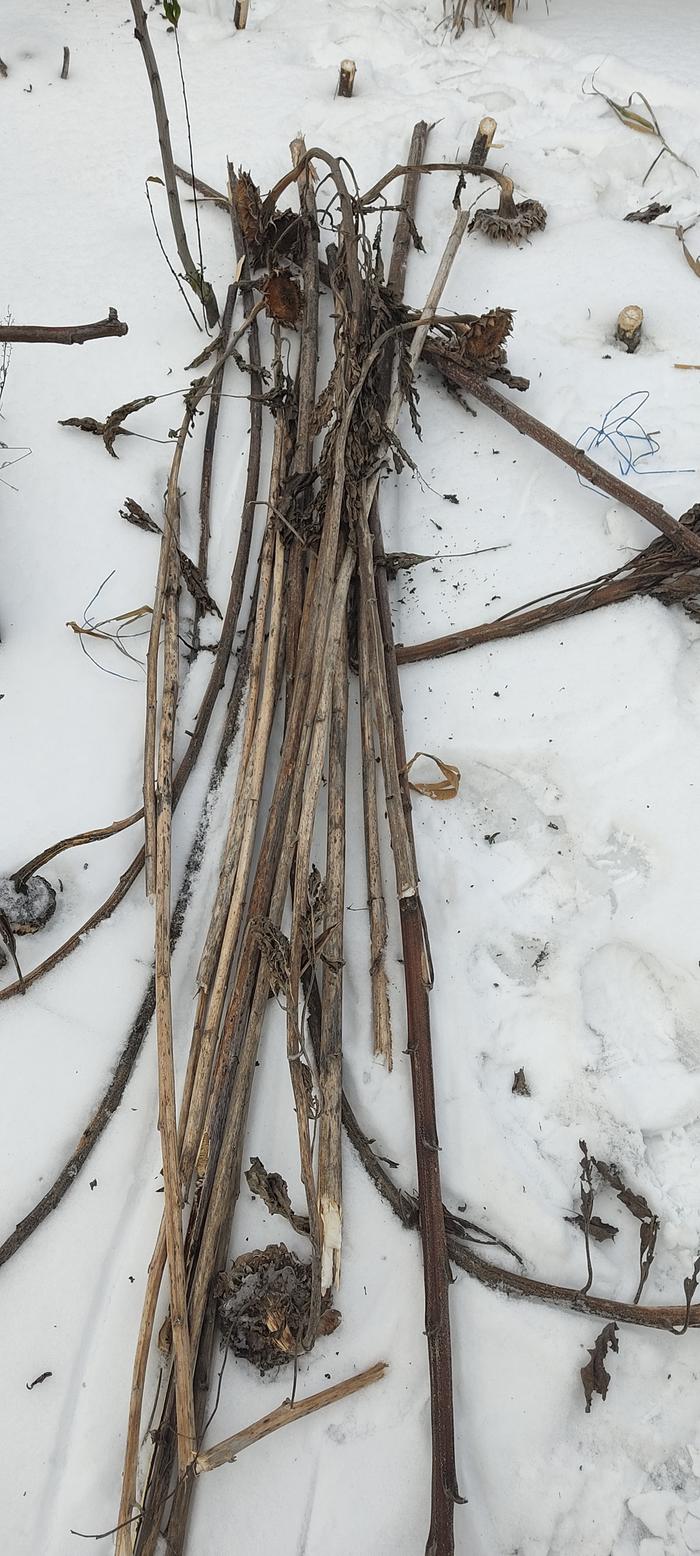 [Thumbnail for IMG_20260110_134556.jpg]