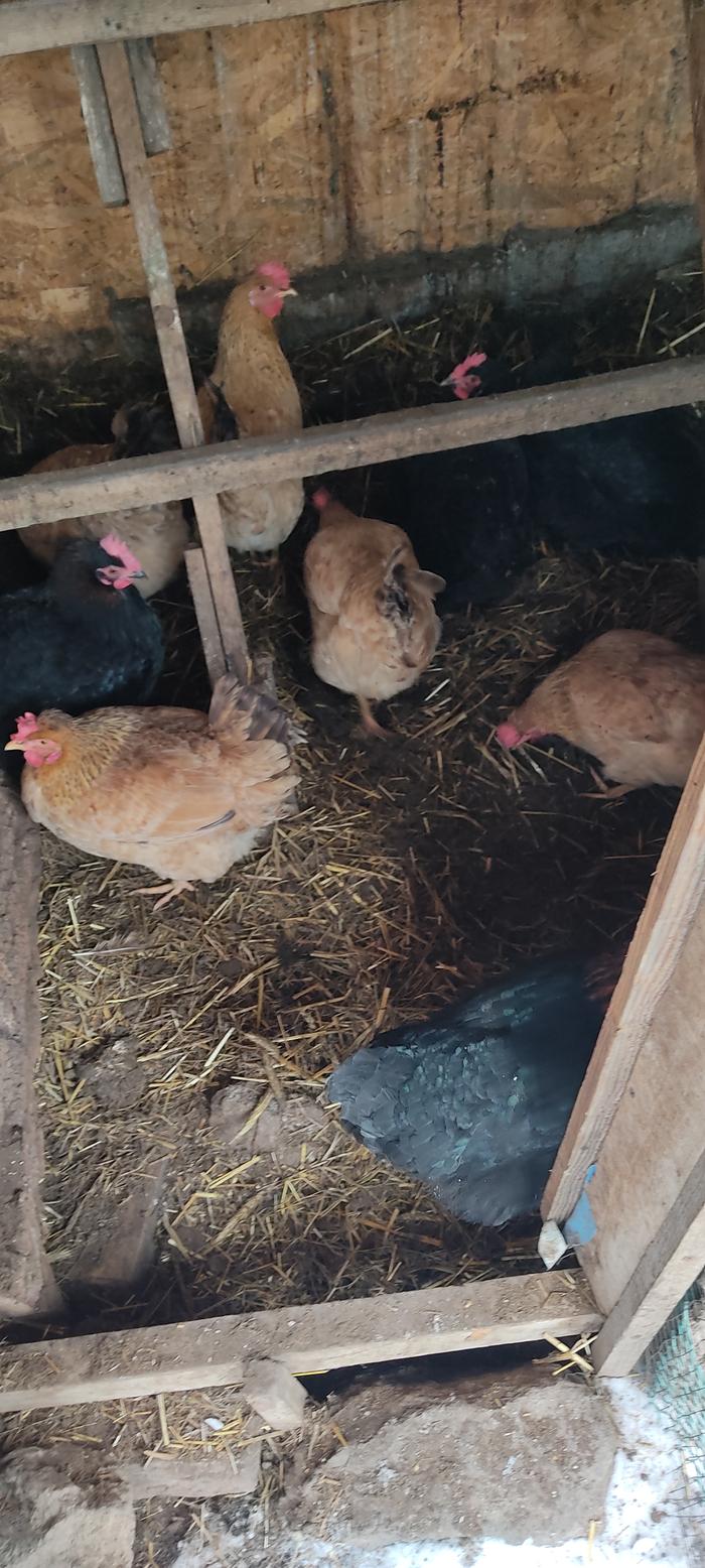 [Thumbnail for IMG_20260110_132550.jpg]