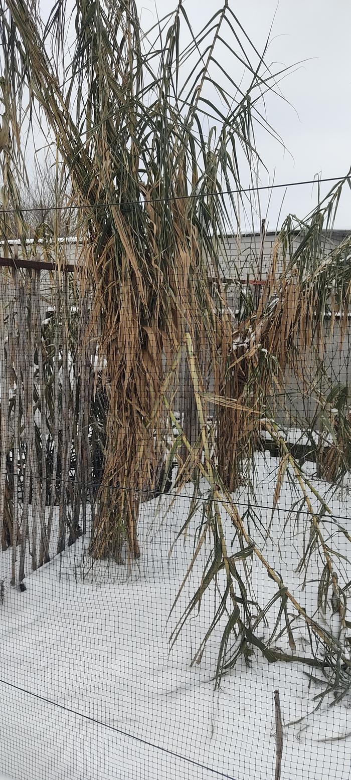 [Thumbnail for IMG_20260110_132537.jpg]