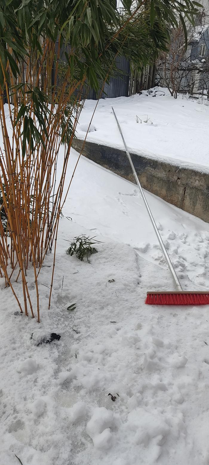 [Thumbnail for IMG_20260131_134922.jpg]