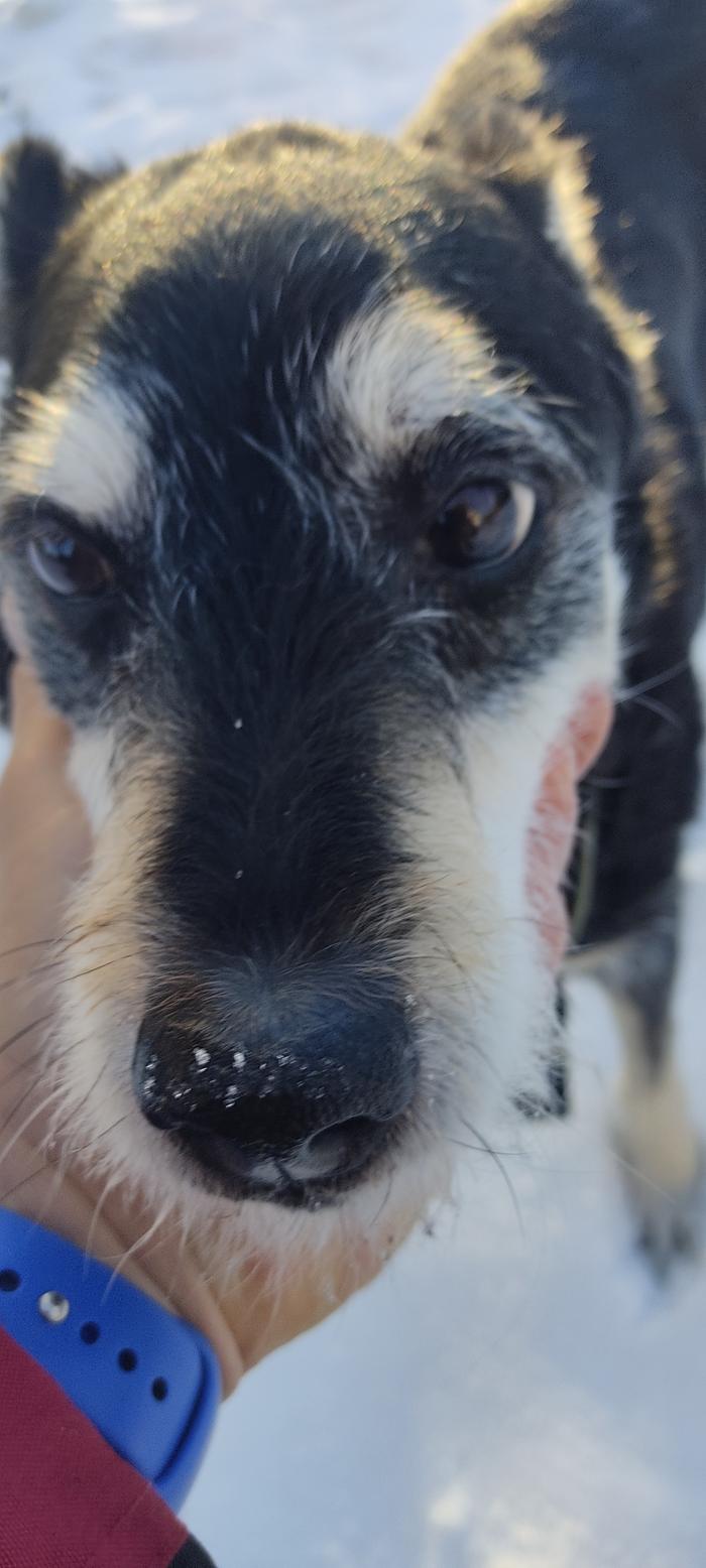 [Thumbnail for IMG_20260104_091939.jpg]