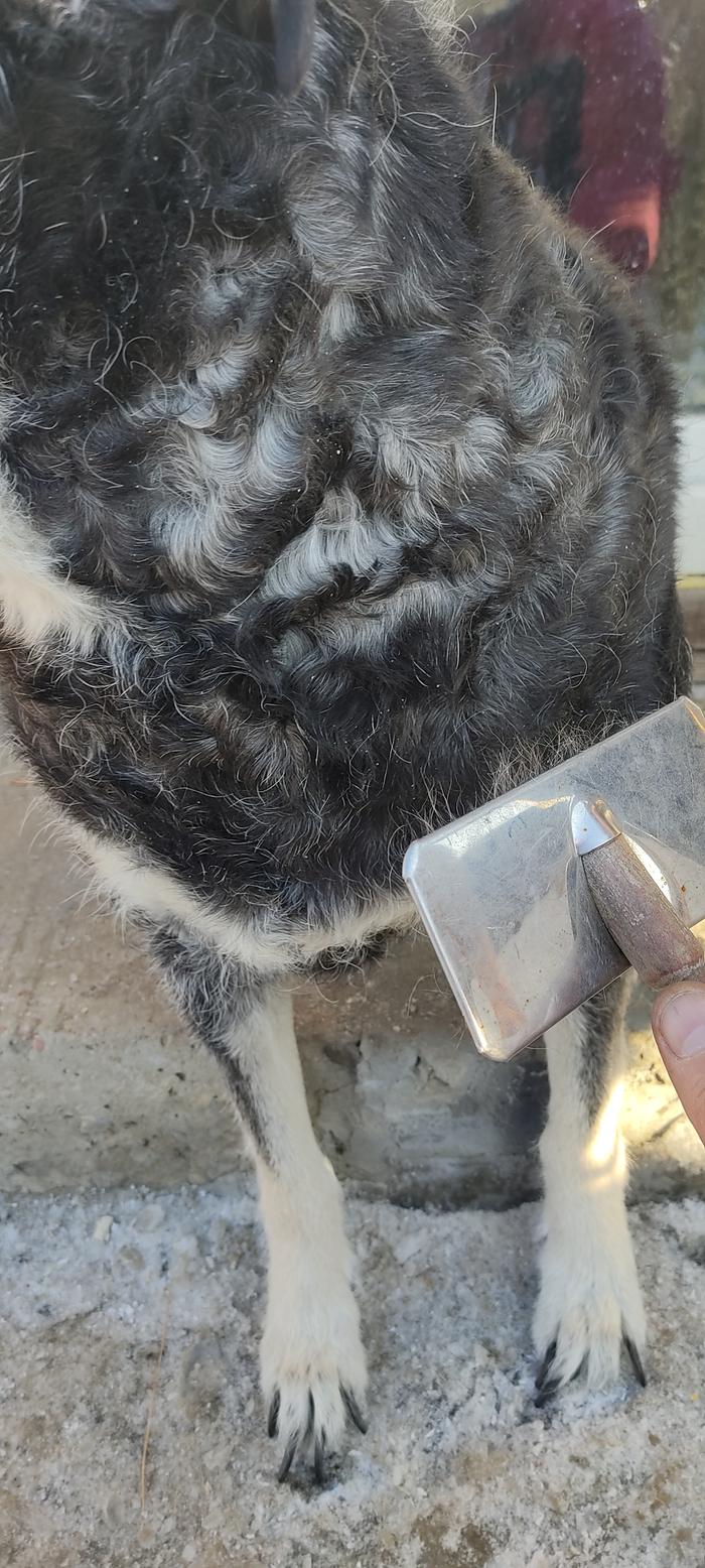 [Thumbnail for IMG_20260118_104448.jpg]