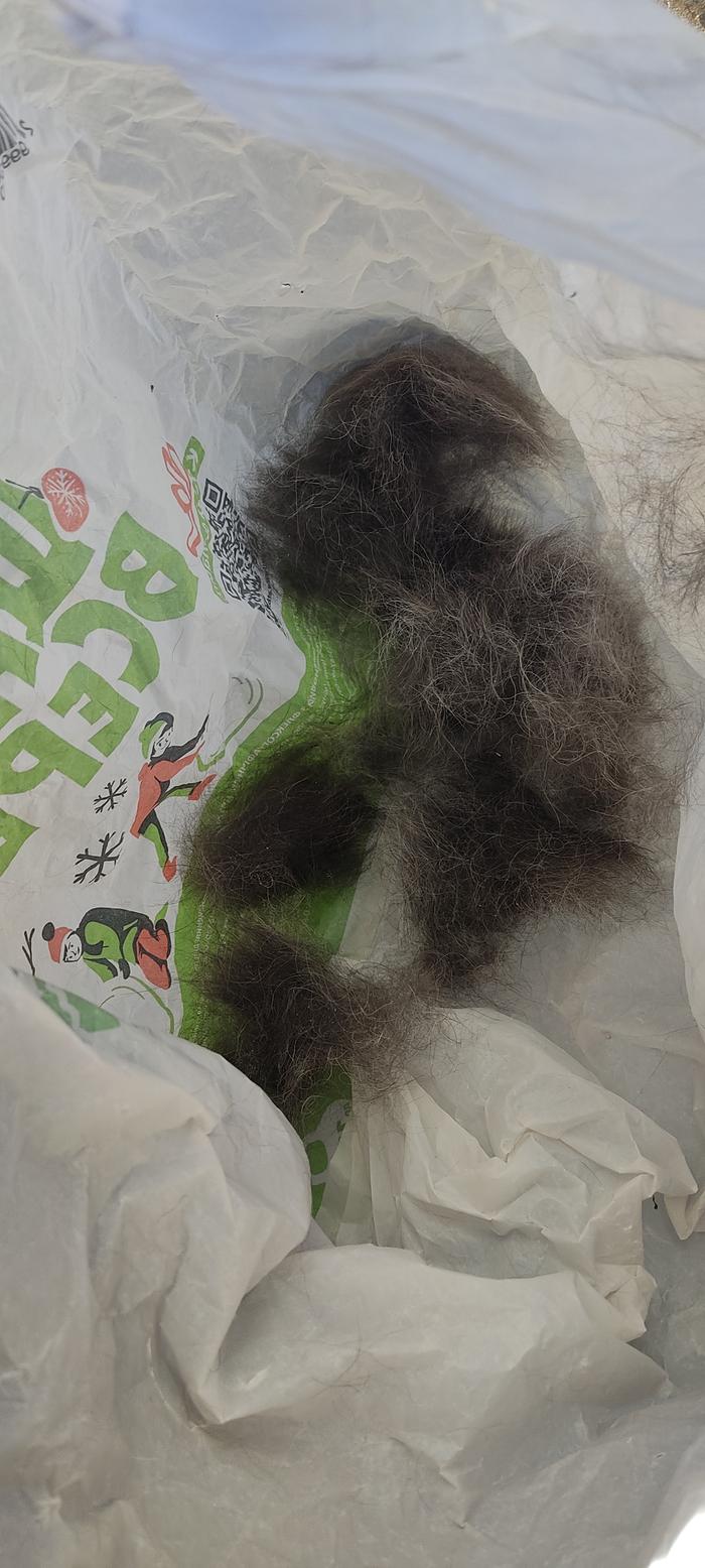 [Thumbnail for IMG_20260118_104936.jpg]