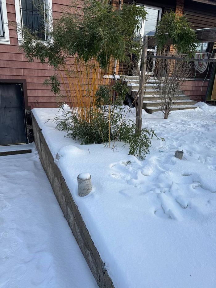 [Thumbnail for IMG_20260131_181648_771.jpg]