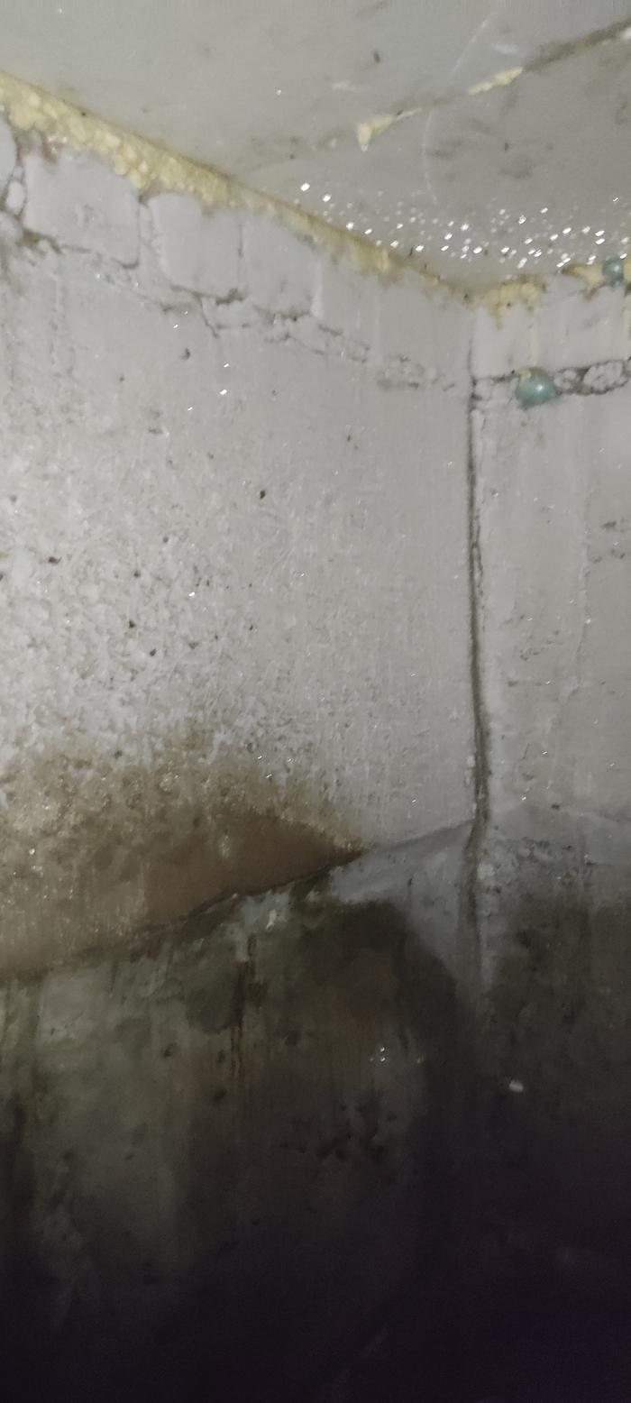 [Thumbnail for IMG_20260204_181941.jpg]